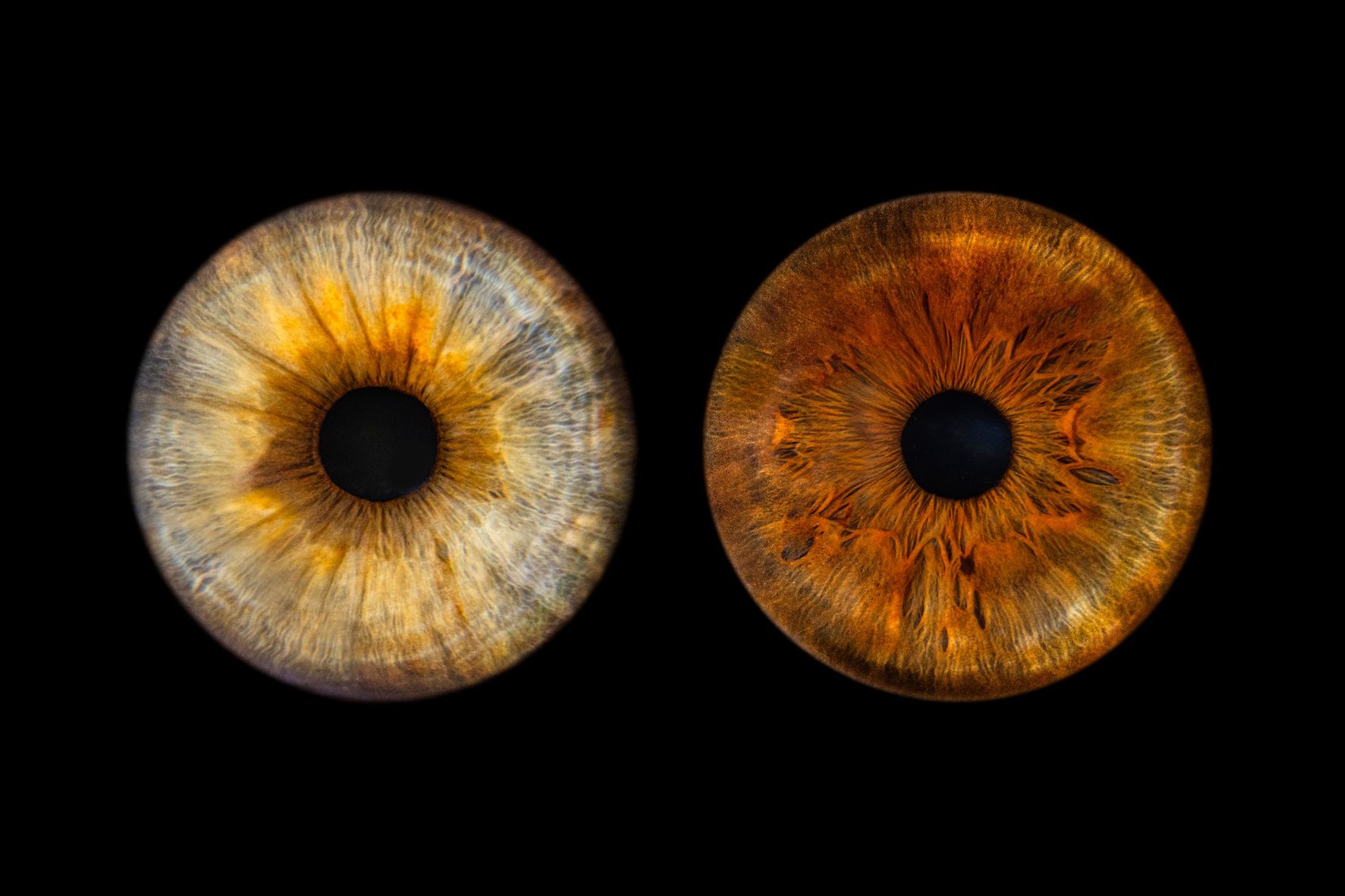 Bewerbungsmappen | Foto Forstmeyer Bad Säckingen